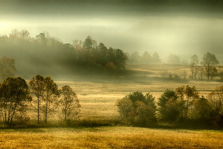 Fall Morning