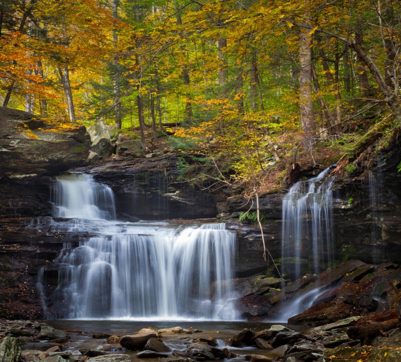 Ricketts Glen