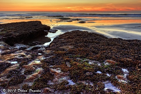 Swept Away at Low Tide