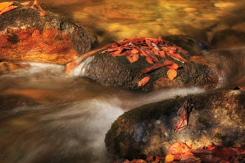 Autumn Water