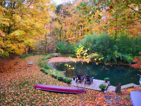 Autumn Tranquility