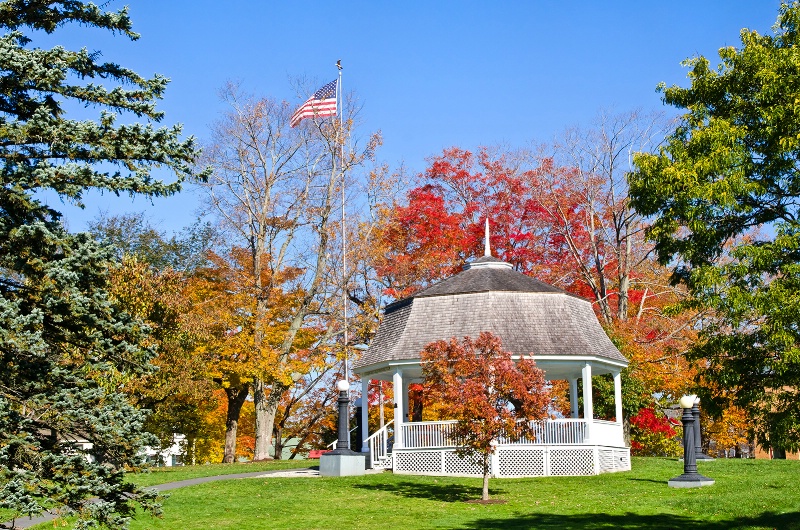 Library Park - ID: 13495541 © Jeff Robinson