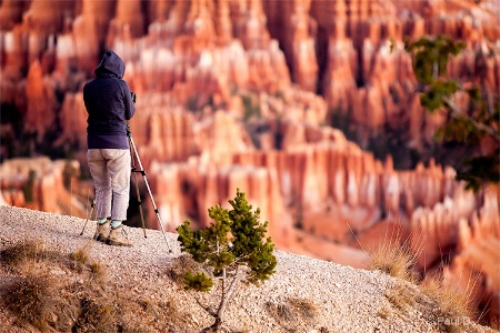 Getting the Shot