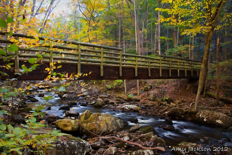 Bridge to the Falls