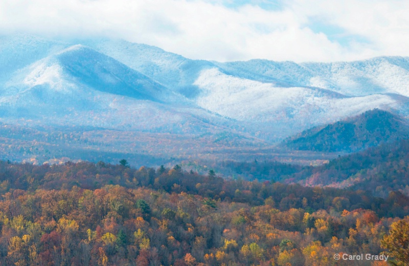 Fall Color in TN