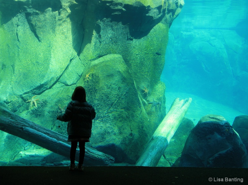 Little girl: Big Aquarium