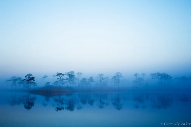 Early Morning Fog