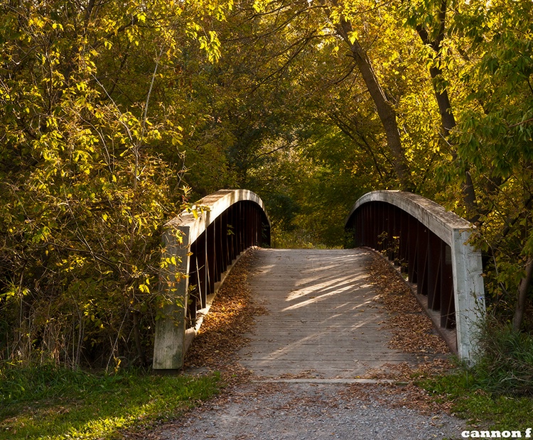 Bridge.