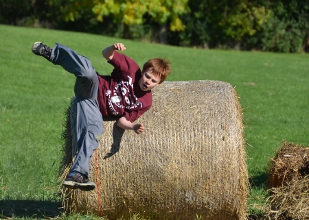 Rolling over Hay