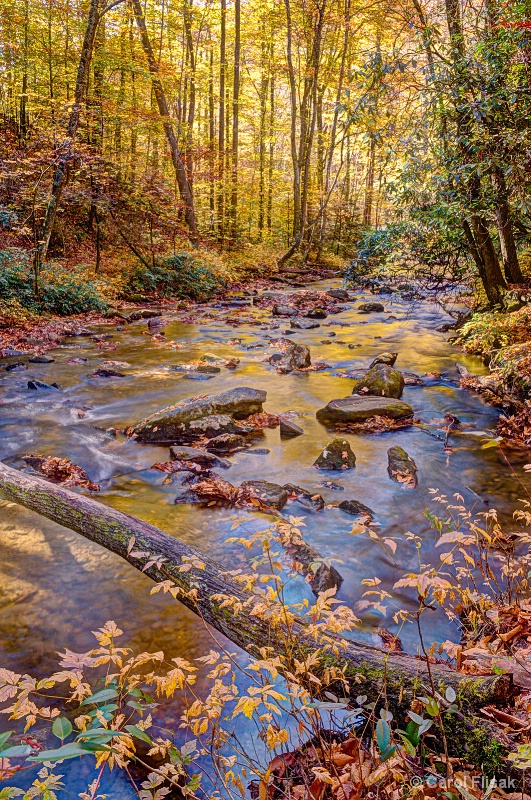Reflections in a Stream ~ North Carolina - ID: 13511761 © Carol Flisak