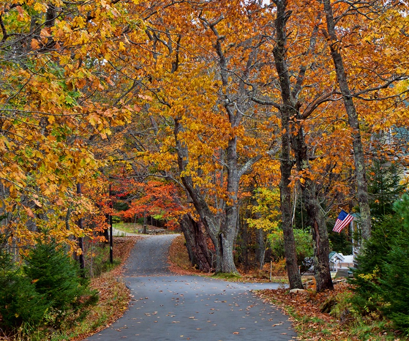 An Autumn Drive