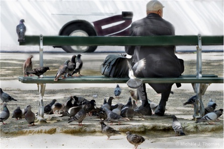 Man On A Bench, In Paris !