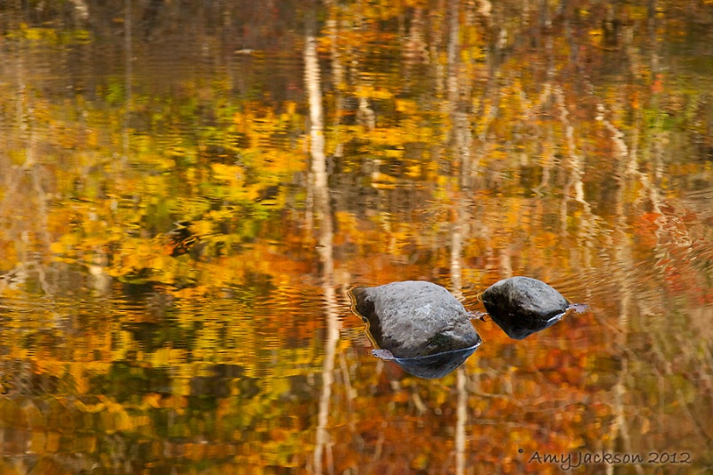 Golden Reflections