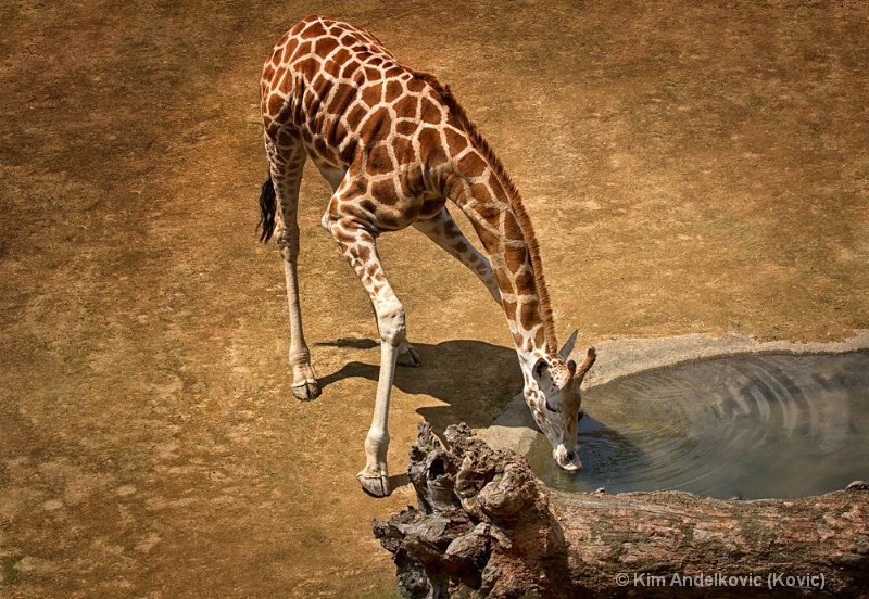 Drinking Time for Baby