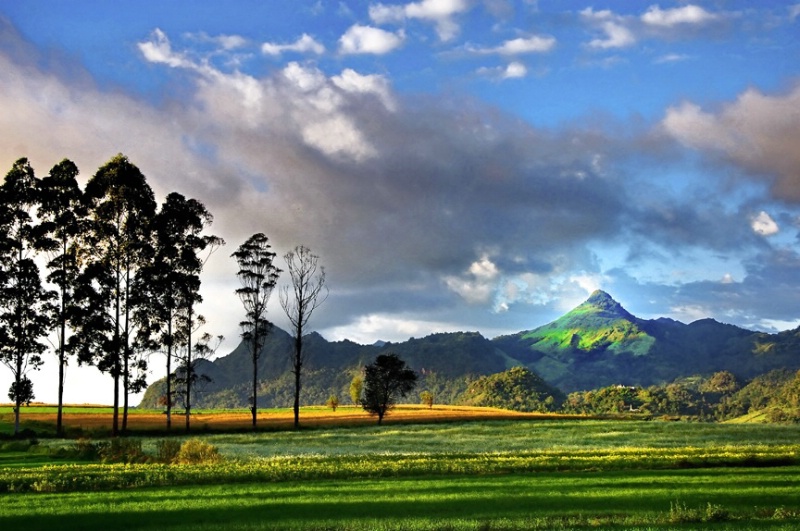 Shan state