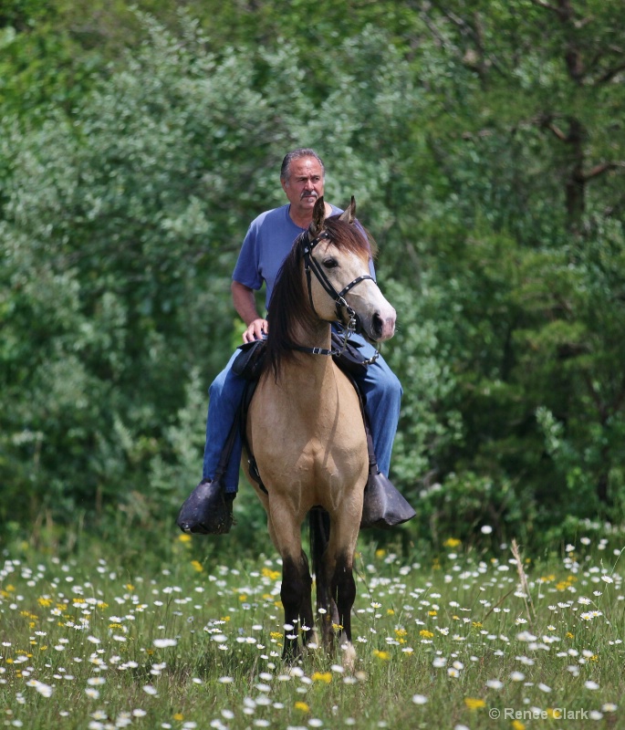 Wildflower Horse