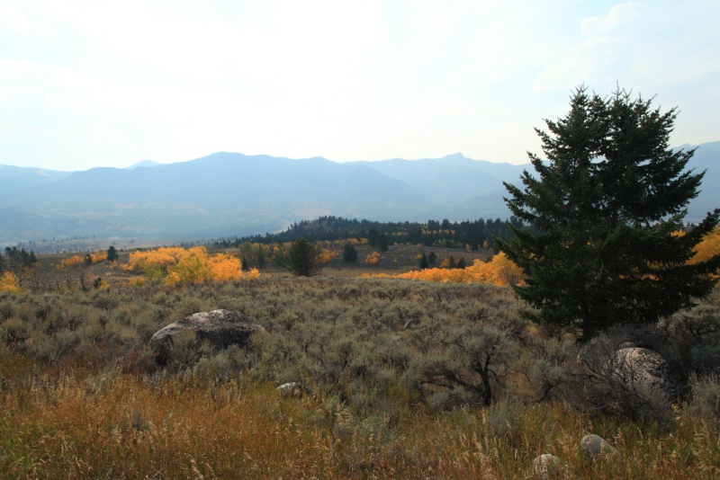 Yellowstone National Park, 9.23.12 - ID: 13520376 © Michael S. Couch