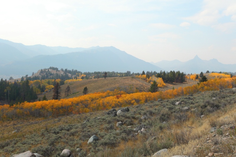 Yellowstone National Park, 9.23.12 - ID: 13520379 © Michael S. Couch