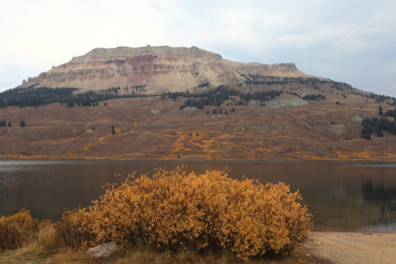 Yellowstone National Park, 9.23.12 - ID: 13520384 © Michael S. Couch