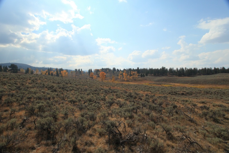 Yellowstone National Park, 9.24.12 - ID: 13520391 © Michael S. Couch
