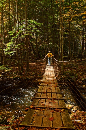 Creek Crossing