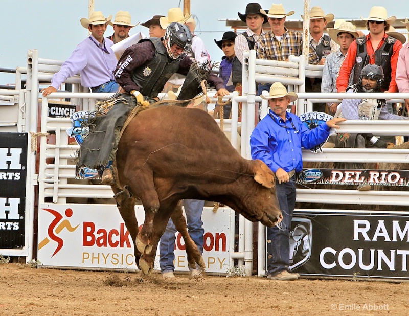 Cole Echols Winner 2012 35th GPM Bull Ride