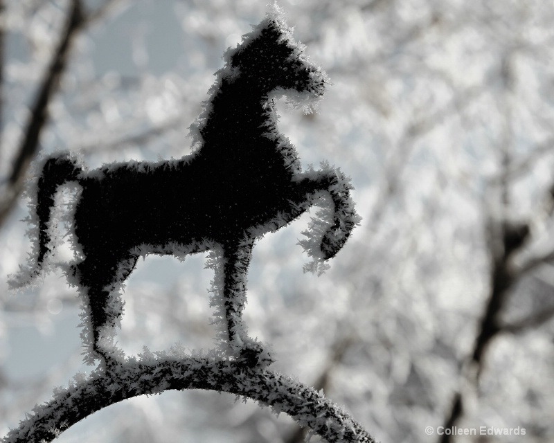 Horse Frost