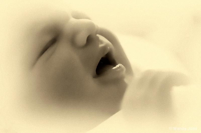 The cry of a newborn...