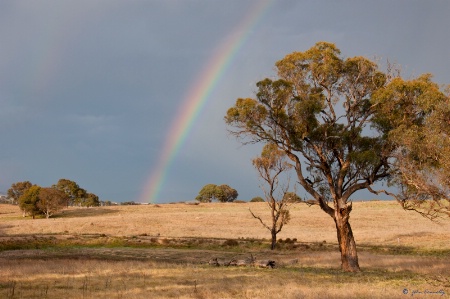 Rainbow In The Morning