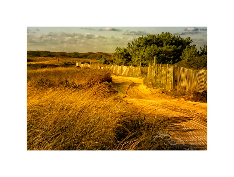 Road to Great Point, Nantucket - Wauwinet Fences