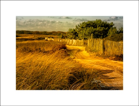 Road to Great Point, Nantucket - Wauwinet Fences