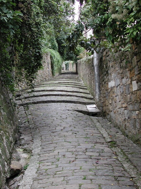 Slovenian Lane