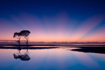 November 2012 Photo Contest 2nd Place Prize Winner