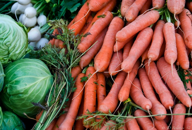 Fall Harvest