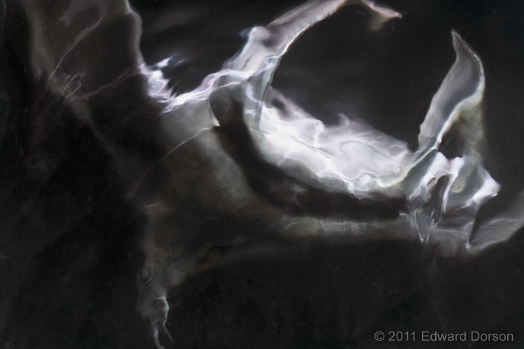Manta Near Surface 2 - ID: 13538452 © Edward Dorson