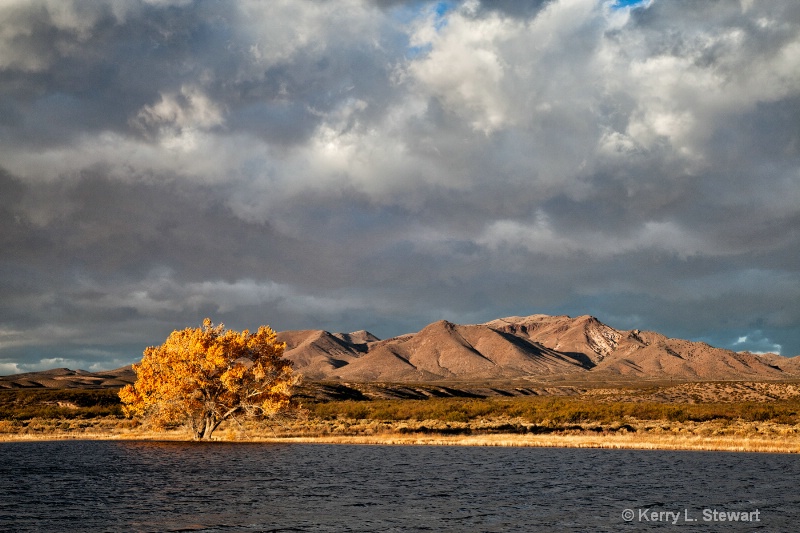 Morning at Bosque Del Apache