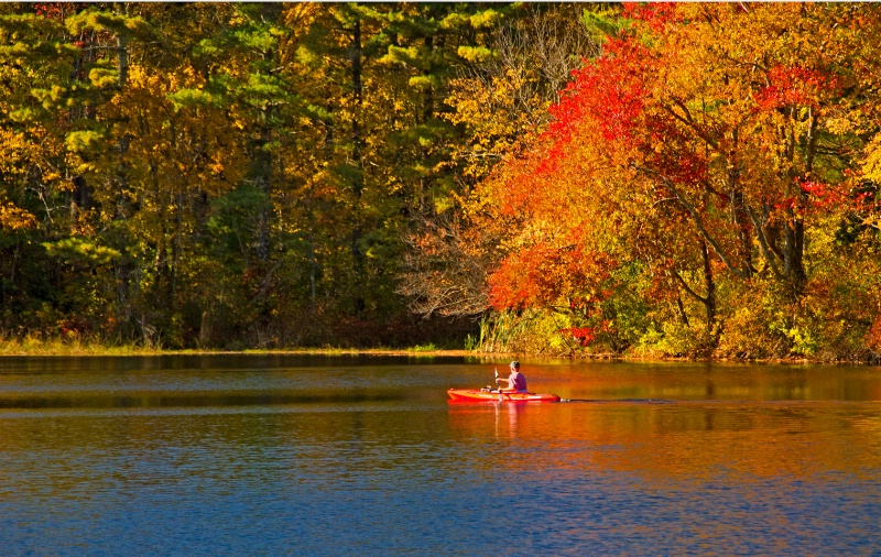 Great Day to Kayak