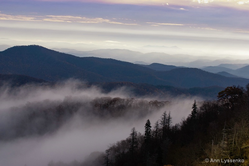 Blue Fog Morning