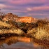 2Morning in Palo Duro Canyon - ID: 13544939 © Sherry Karr Adkins