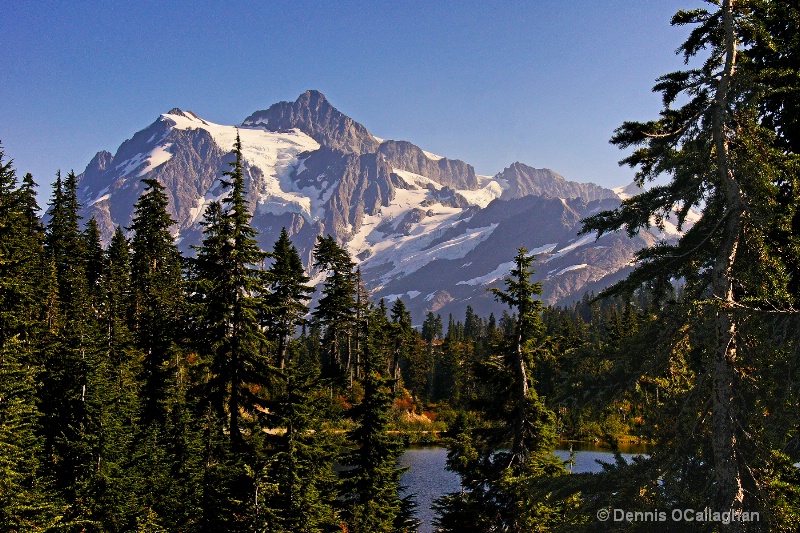 503 mt shuksan evening 