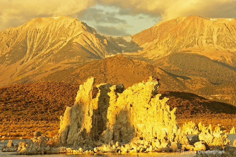 517 mono lake tufa  in morn 