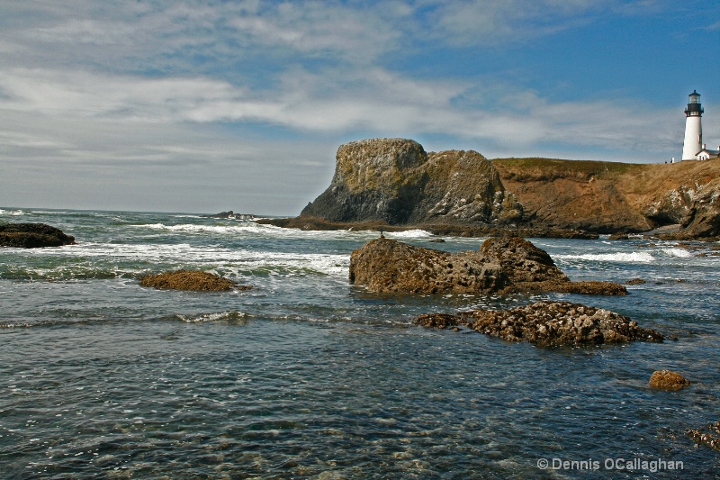 523 yaquina head or. 