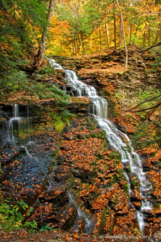 Ricketts Glen