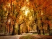Autumn Impression...