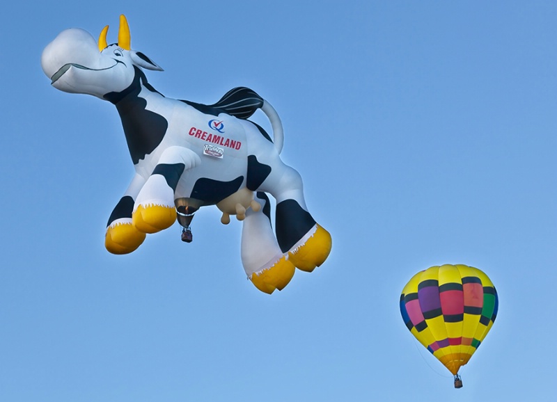 The Cow Jumps Over the Balloon! 