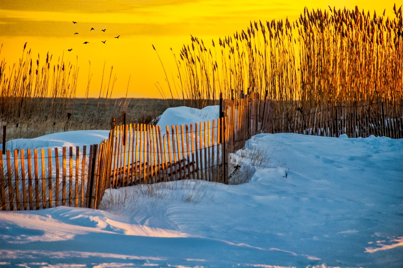 Winter Afternoon