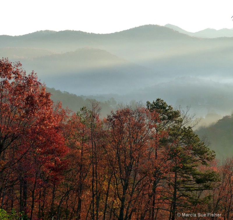 Early Light in the Smokies