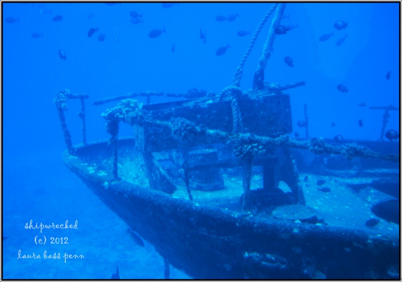 shipwrecked - ID: 13561336 © Laura
