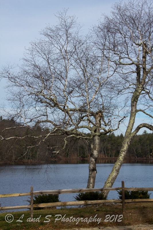 Norway Pond
