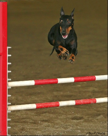 High Jumper
